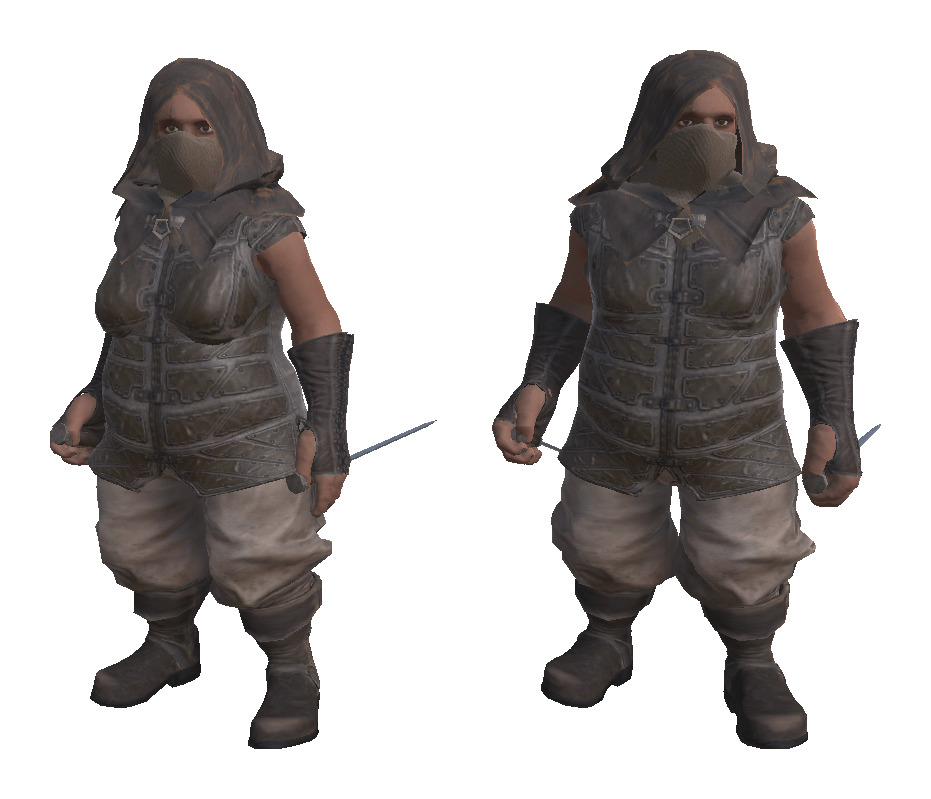 HF-Core-P001-Character-DwarfRogue